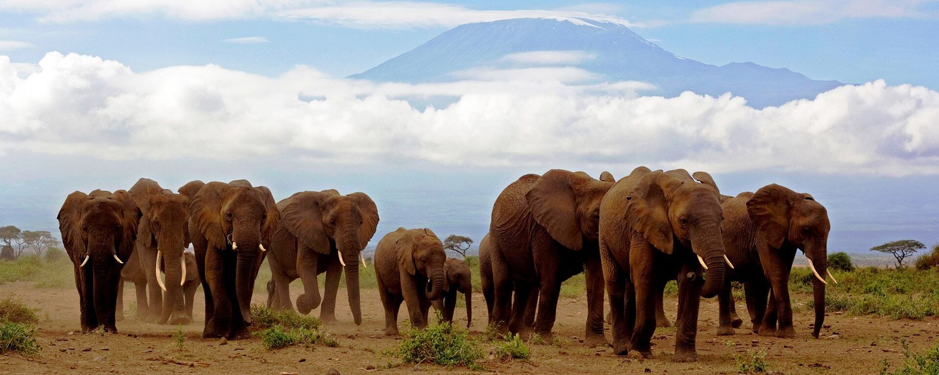 10 Days Maasai Mara & Serengeti Seniors Safari