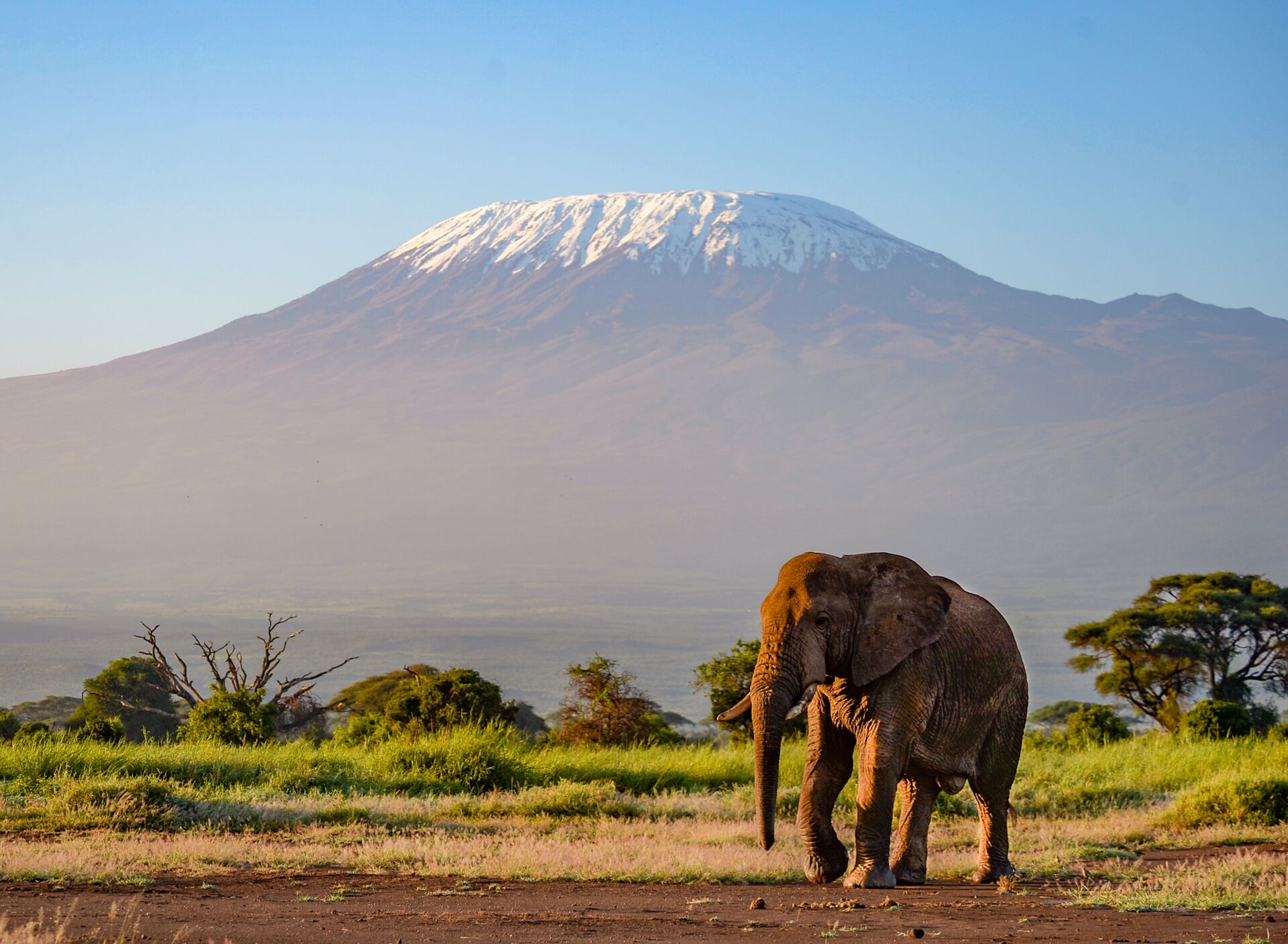 Amboseli, Kenya