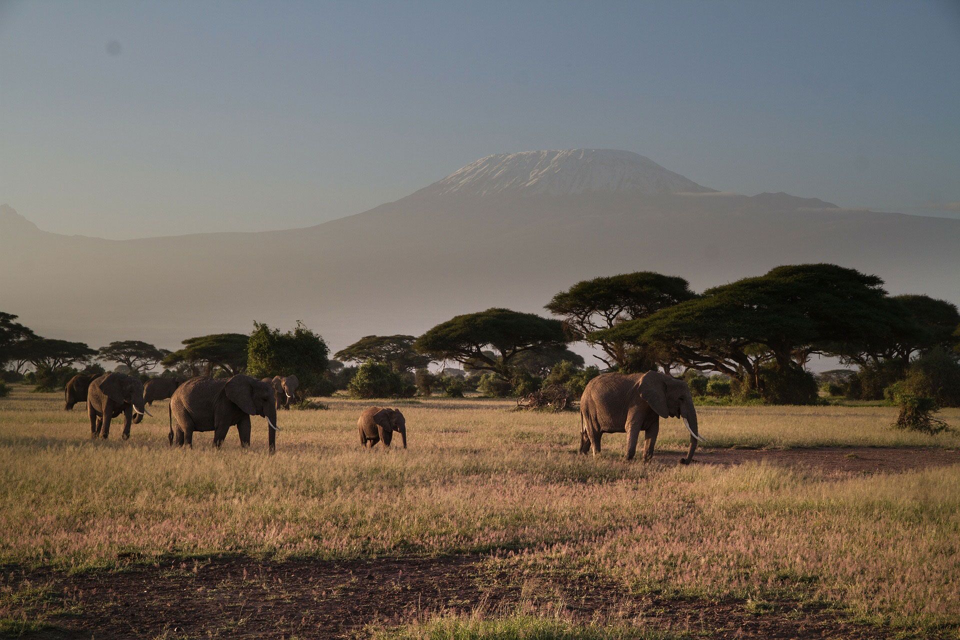 Following the Swamps to Amboseli