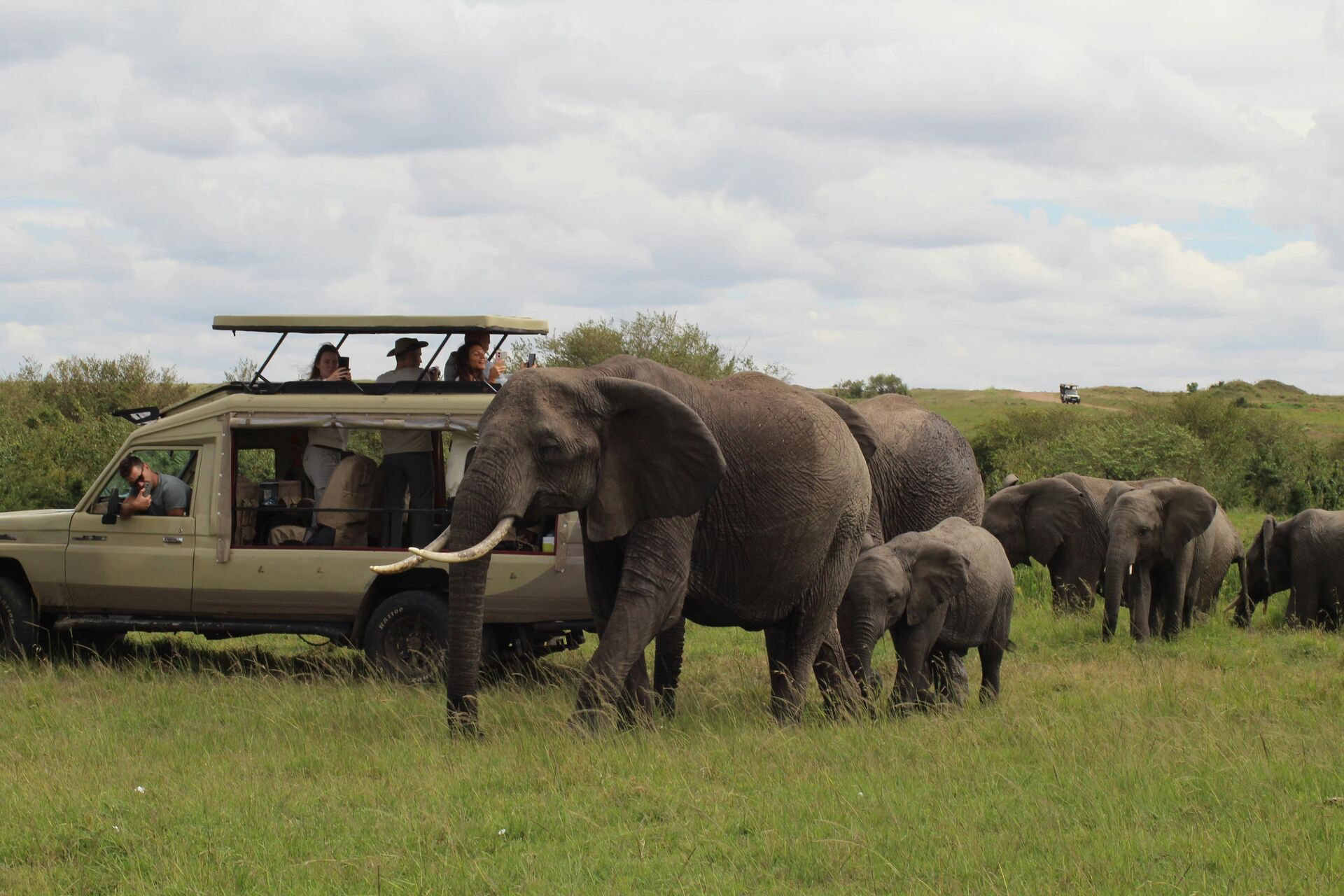 6 Days Lake Naivasha & Maasai Mara Family Safari