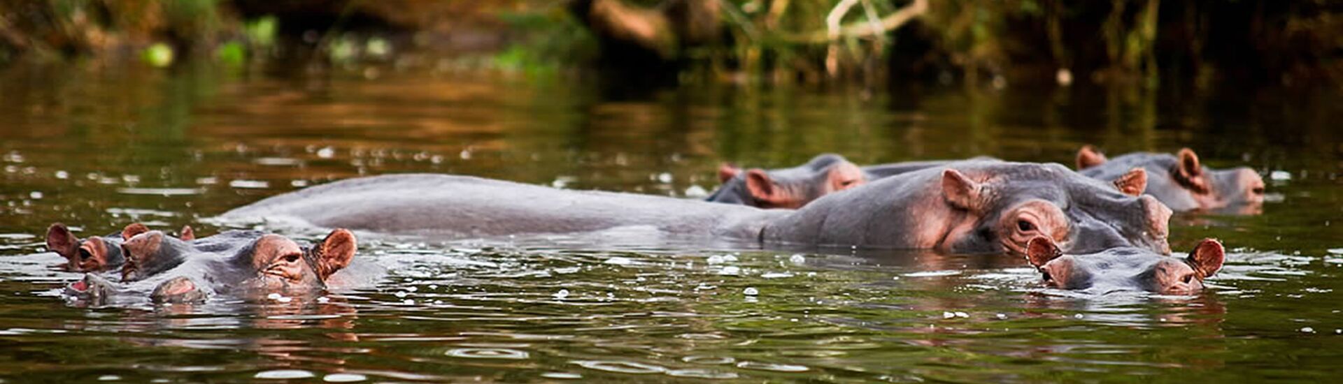Across the Equator to Lake Mburo