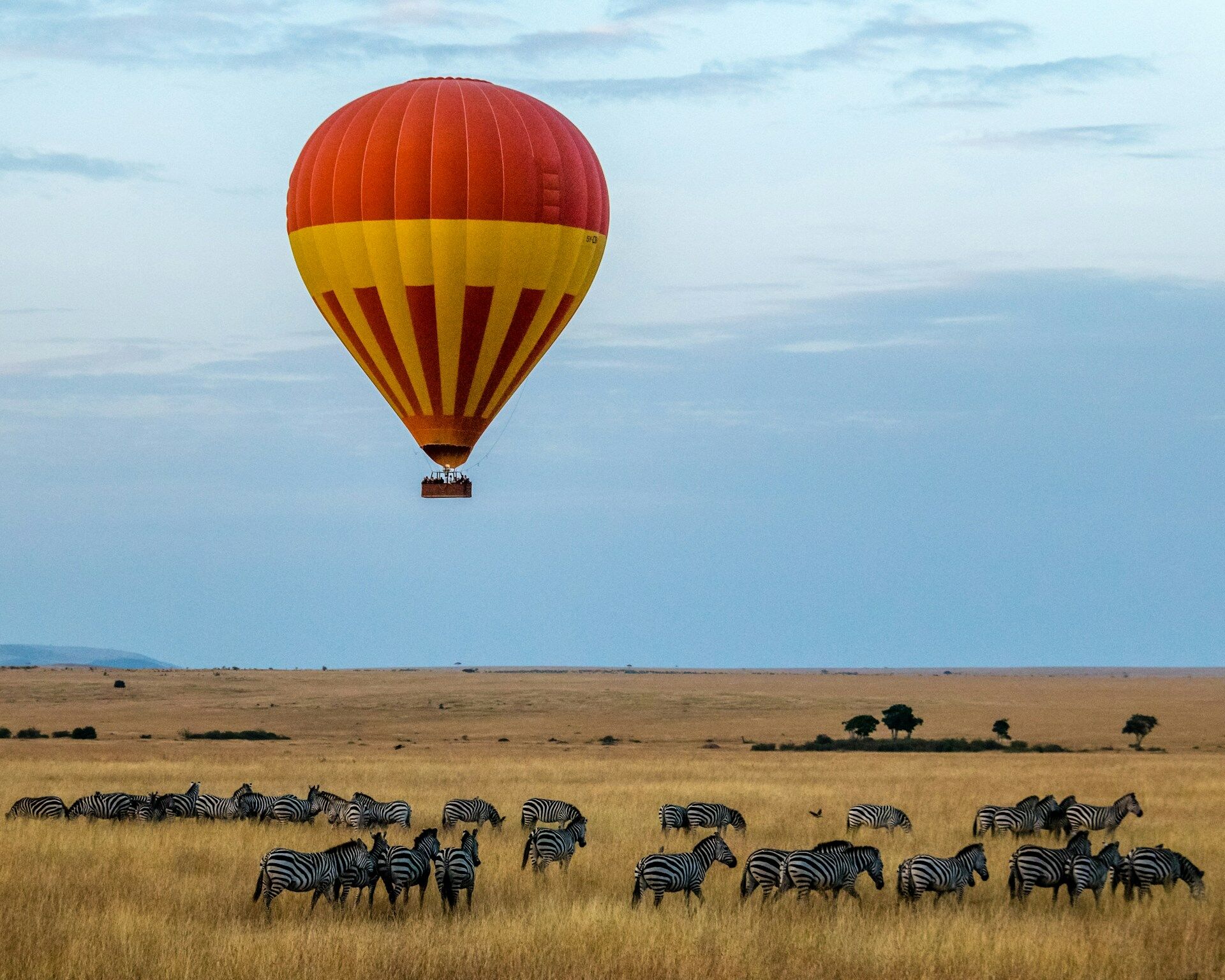 6 Days Maasai Mara & Serengeti Fly-in Safari