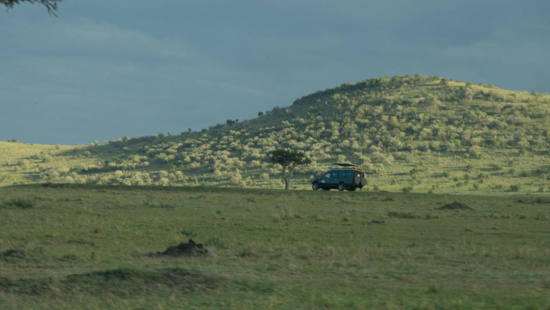 12 Days Laikipia, Maasai Mara & Diani Honeymoon Safari