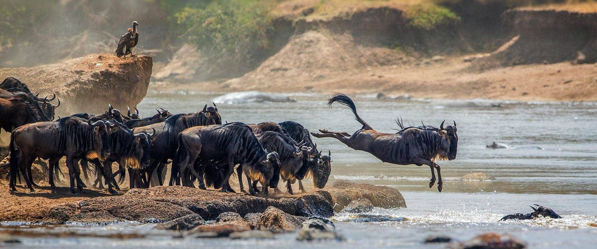 9 Days Maasai Mara & Serengeti Migration Safari